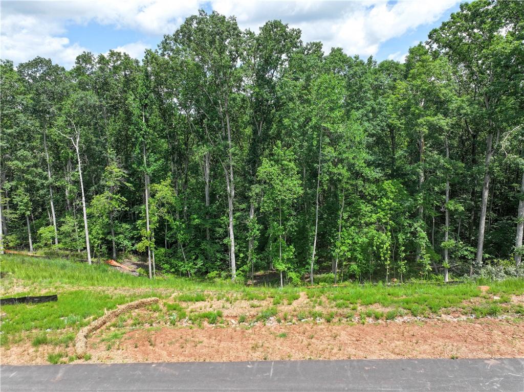 13585 Wood Fern Way Roswell, GA 30075 - Photo 3 of 12 a view of backyard with green space