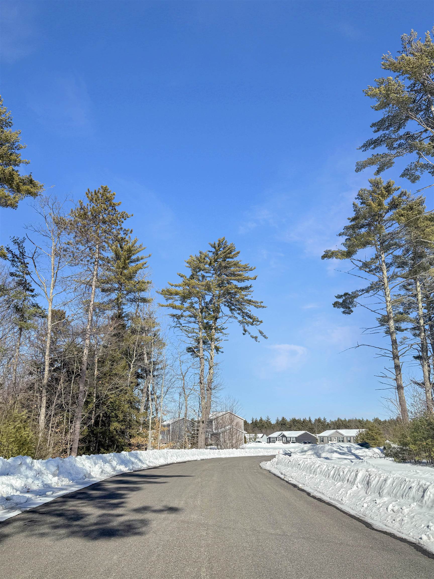 35 Margaret's Way Ossipee, NH 03864 - Photo 8 of 13