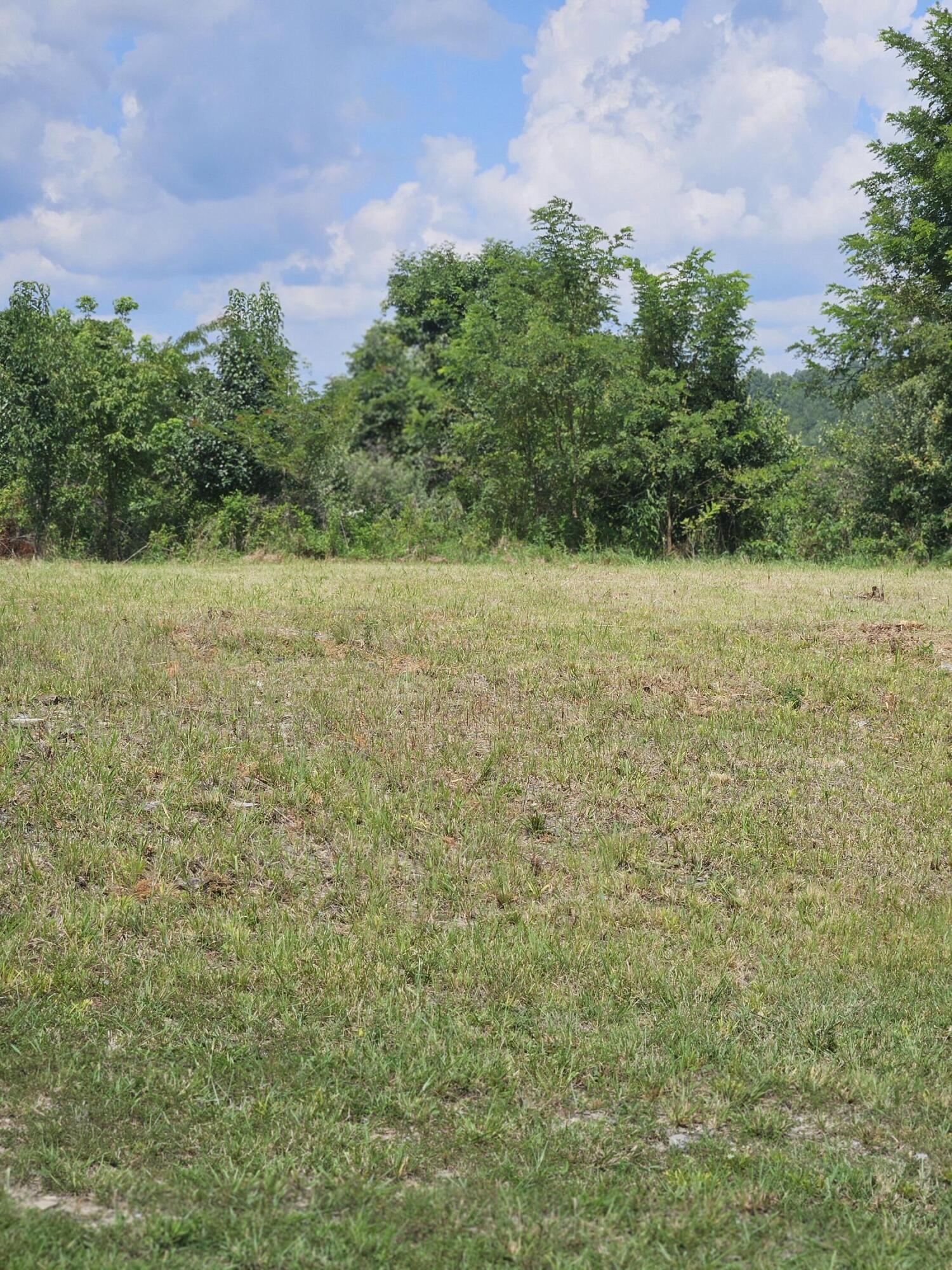 6 Links View Drive Butler, KY 41006 - Photo 2 of 9