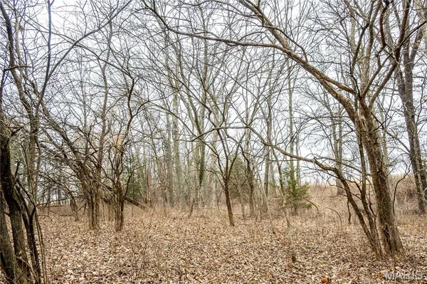 $450,000 | 277 County Road 277, Kahoka, MO 63445