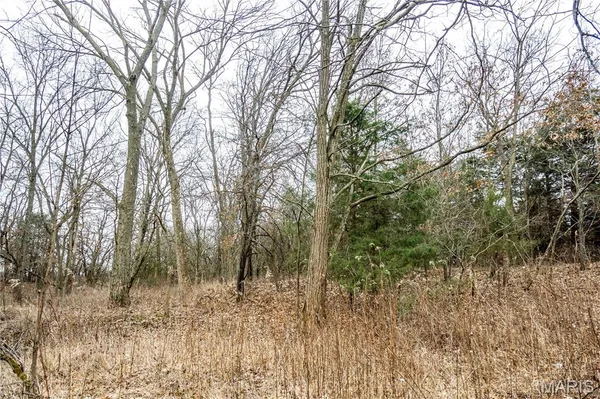 $450,000 | 277 County Road 277, Kahoka, MO 63445