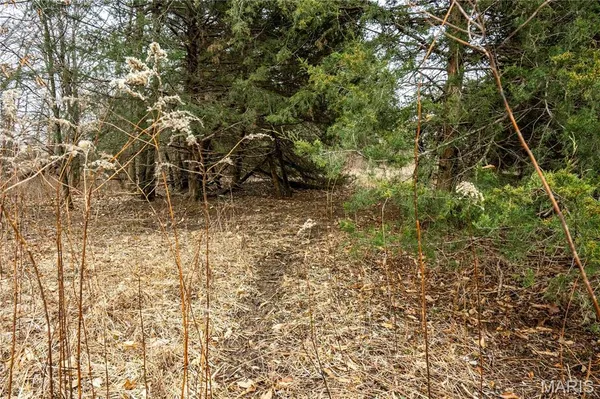 $450,000 | 277 County Road 277, Kahoka, MO 63445