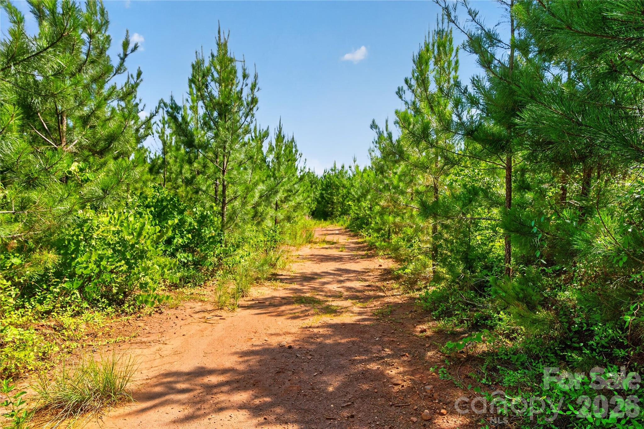 0 Blanton Road, Unit 2 Sharon, SC 29742 - Photo 40 of 43