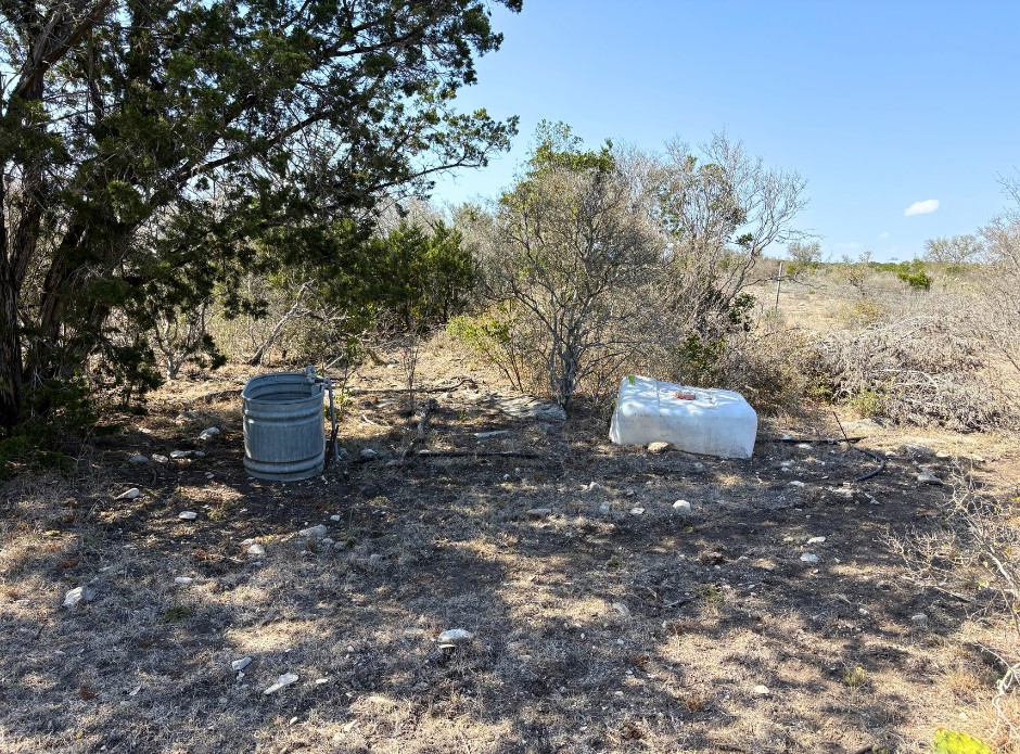 191 Leona Ranch Road Brackettville, TX 78832 - Photo 29 of 30 a view of a backyard with plants and tree
