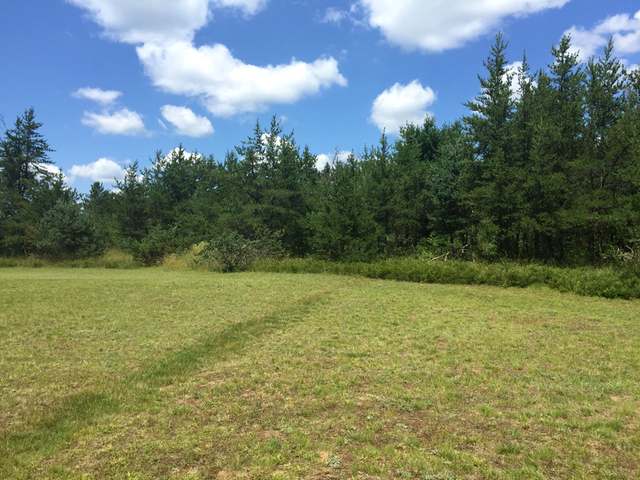 2340 Kelly Dam Road Tomahawk, WI 54487 - Photo 11 of 19 Gallery Image 11
