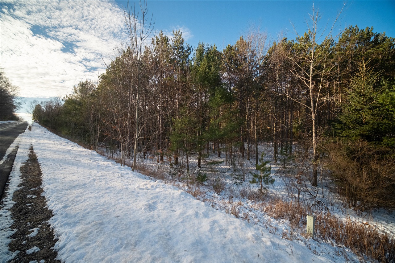0 Erdman Road Onekama, MI 49675 - Photo 37 of 69 Gallery Image 37