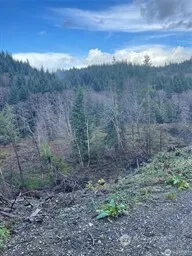 a view of a yard with mountain view