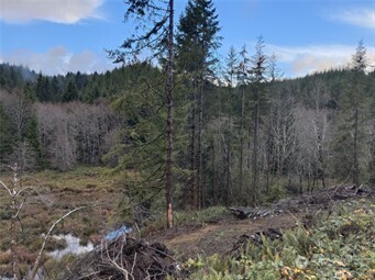 0 South Bend Palix Road South Bend, WA 98586 - Photo 4 of 9