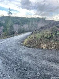 a view of a dry yard with trees
