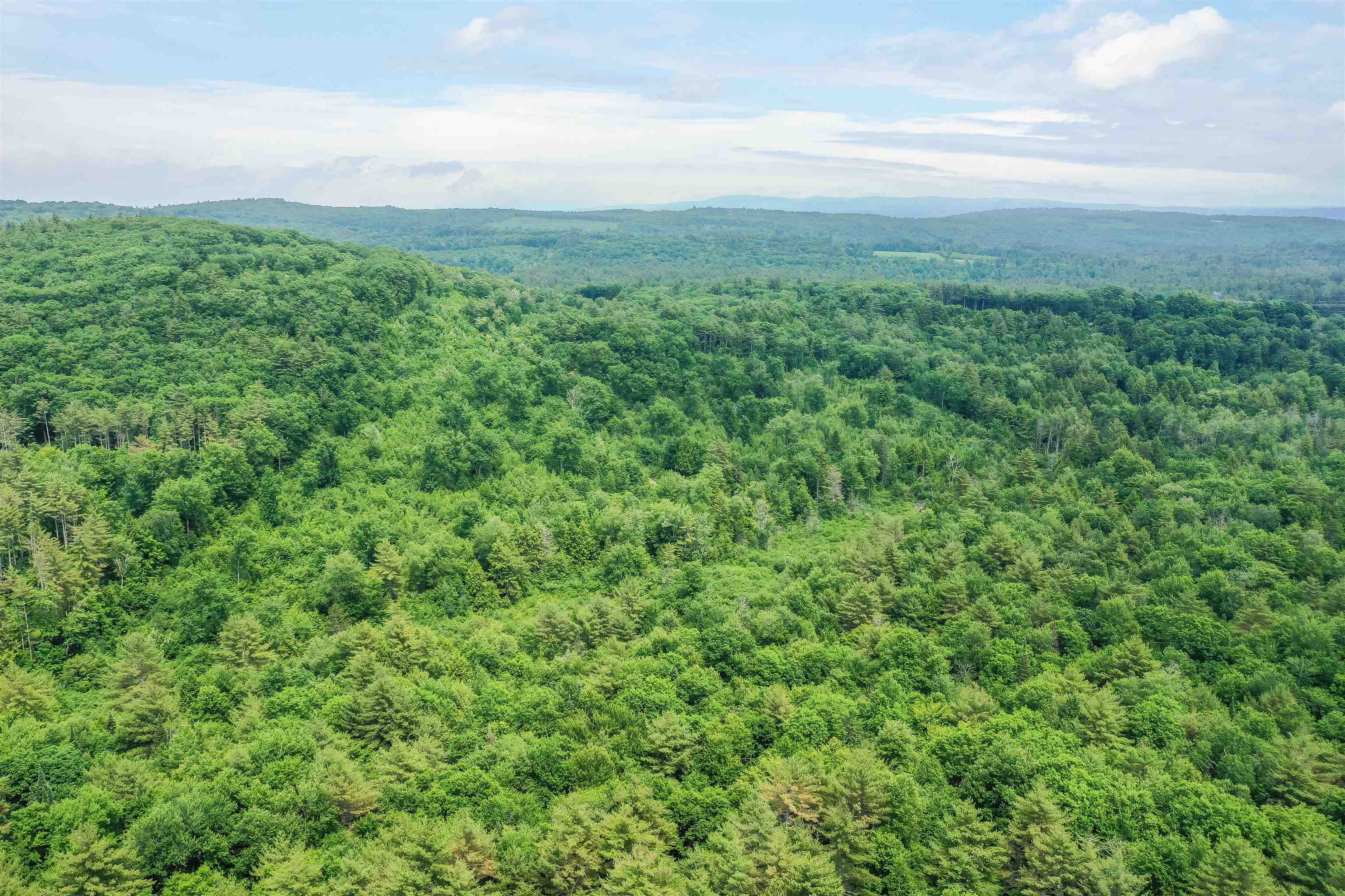 231 Mutton Road Webster, NH 03303 - Photo 15 of 23