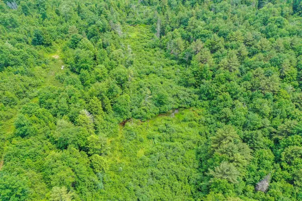 $349,900 | 231 Mutton Road, Webster, NH 03303