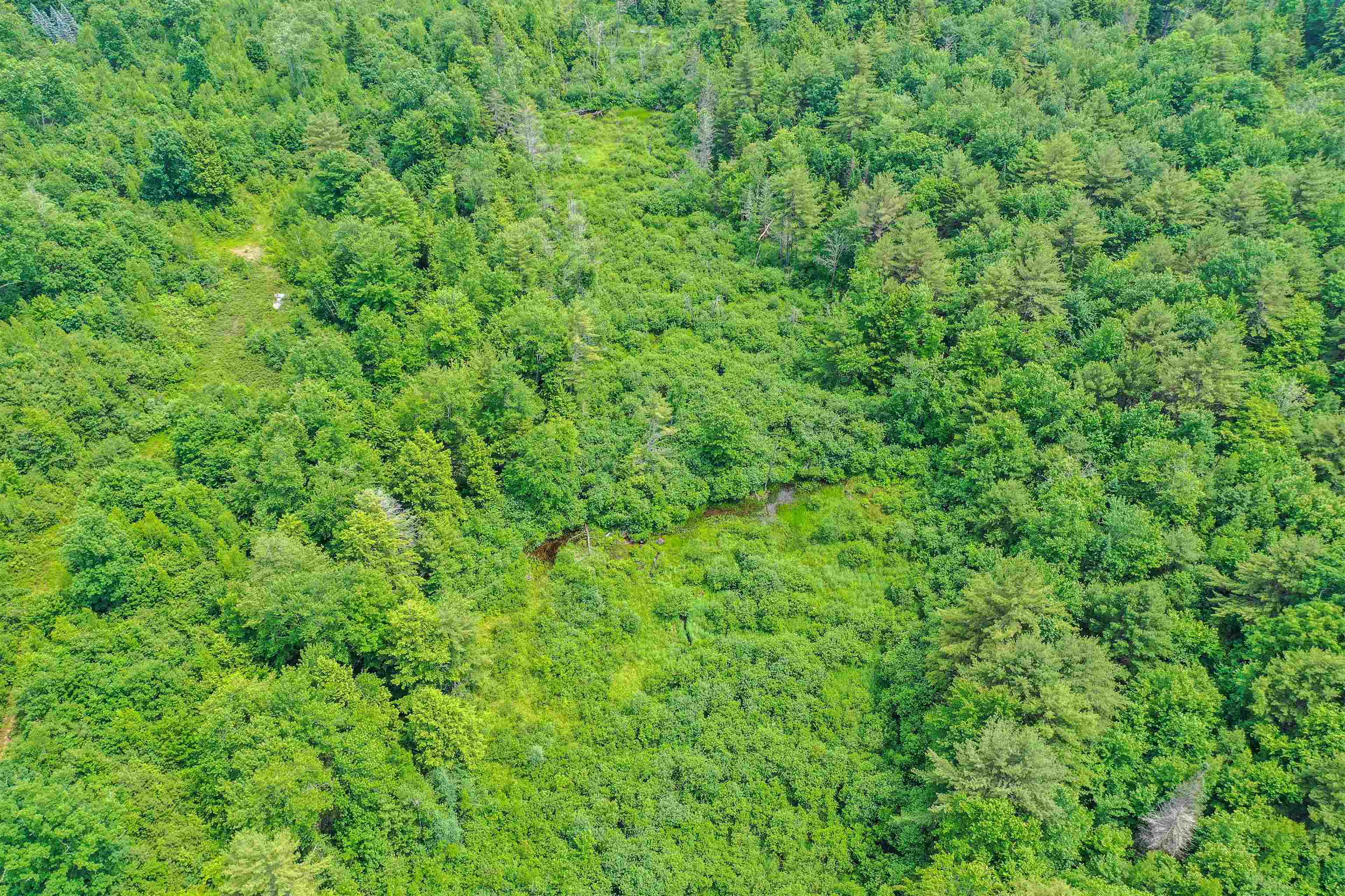 231 Mutton Road Webster, NH 03303 - Photo 17 of 23