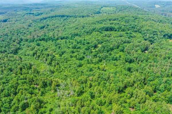 $349,900 | 231 Mutton Road, Webster, NH 03303