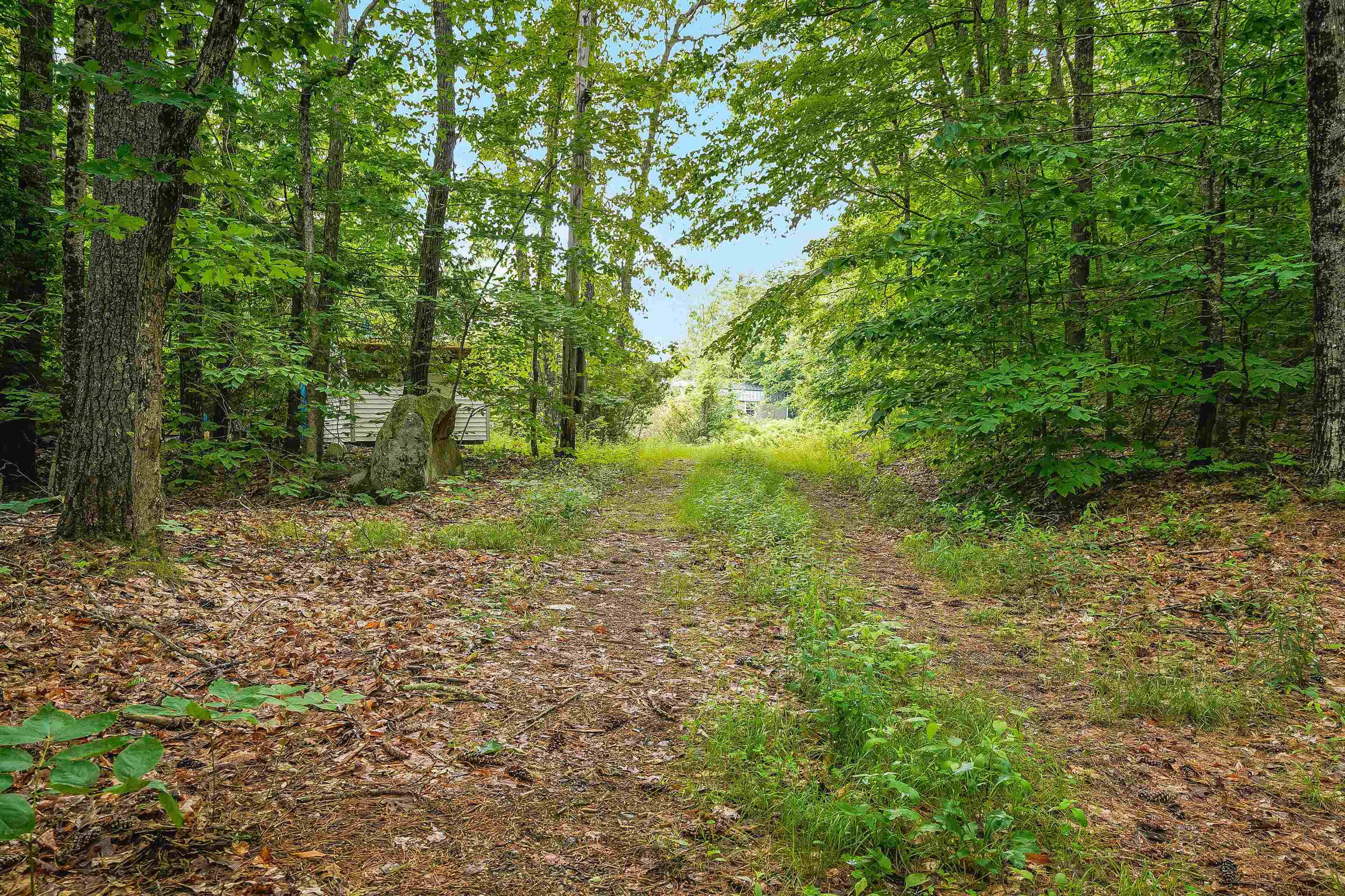 231 Mutton Road Webster, NH 03303 - Photo 3 of 23