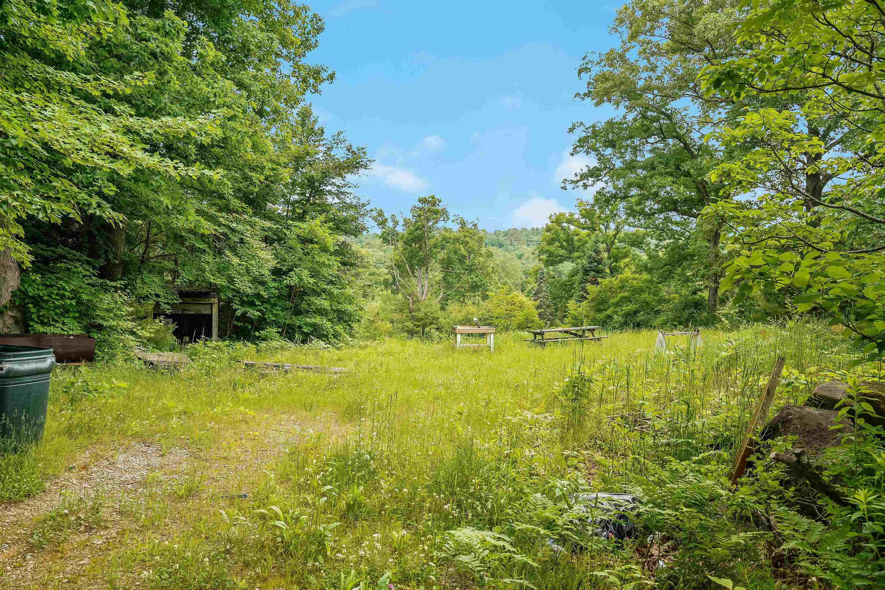 231 Mutton Road Webster, NH 03303 - Photo 4 of 23