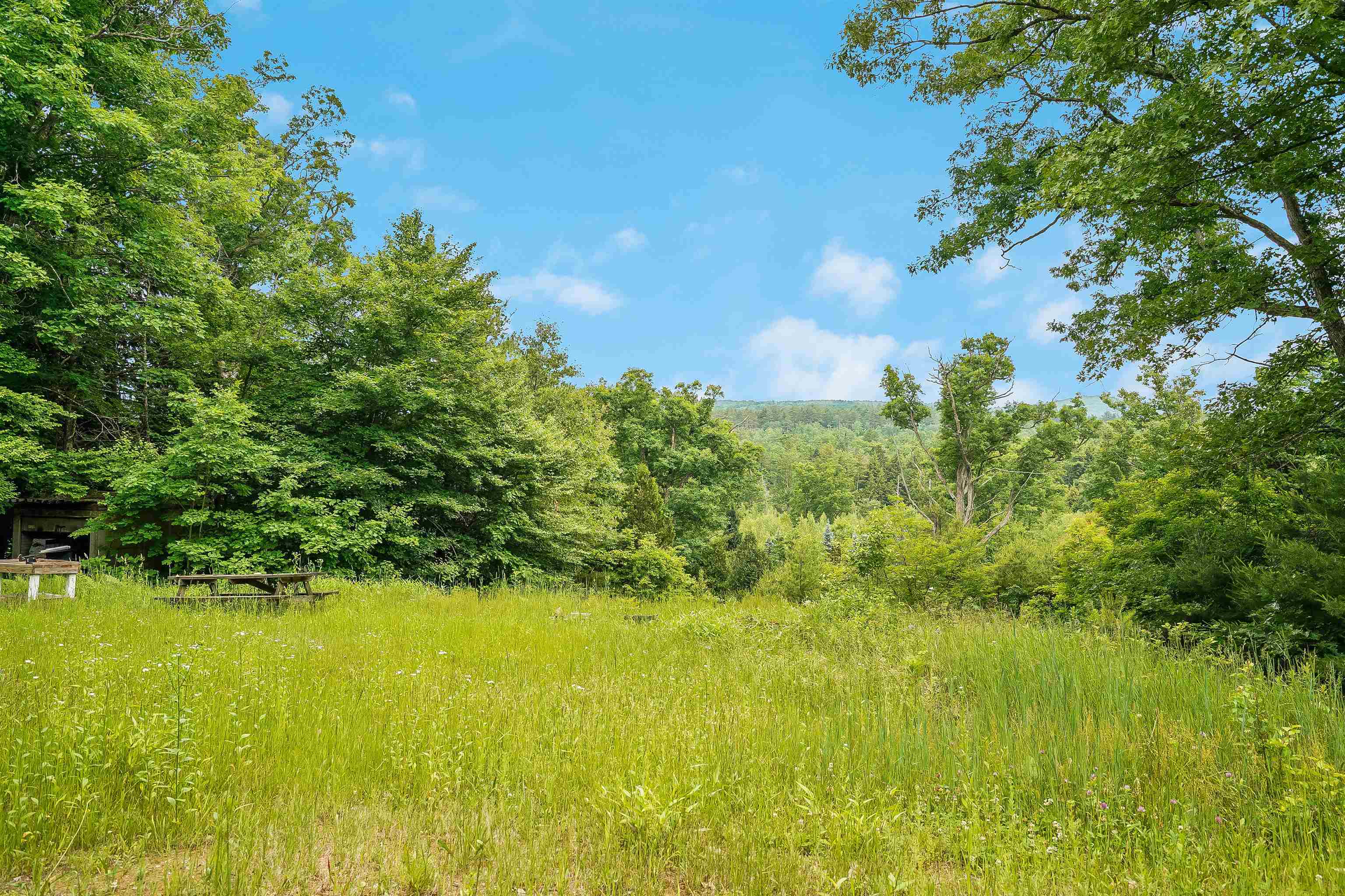 231 Mutton Road Webster, NH 03303 - Photo 5 of 23