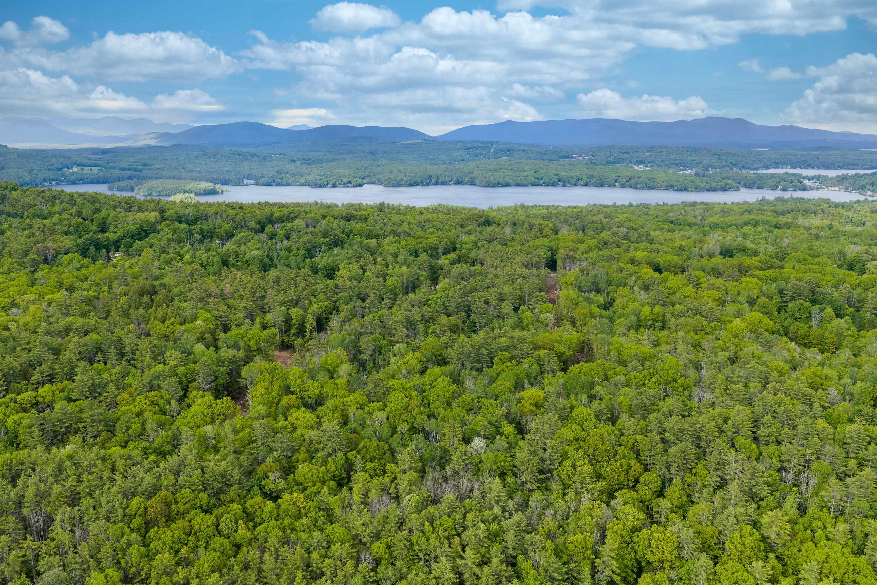 Lot 2 Winona Road Meredith, NH 03253 - Photo 12 of 14