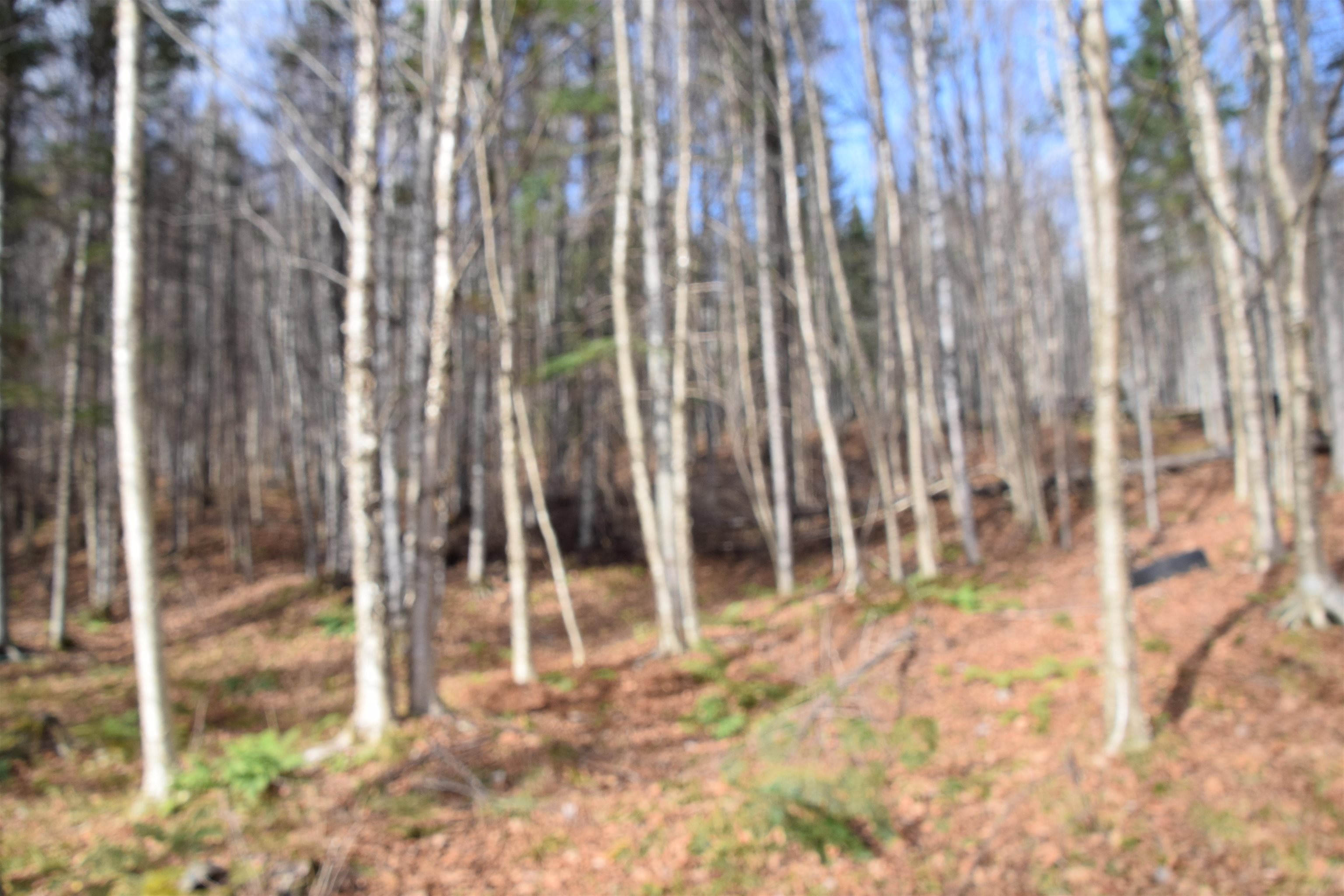 253 Brook Park Road Stewartstown, NH 03576 - Photo 1 of 17