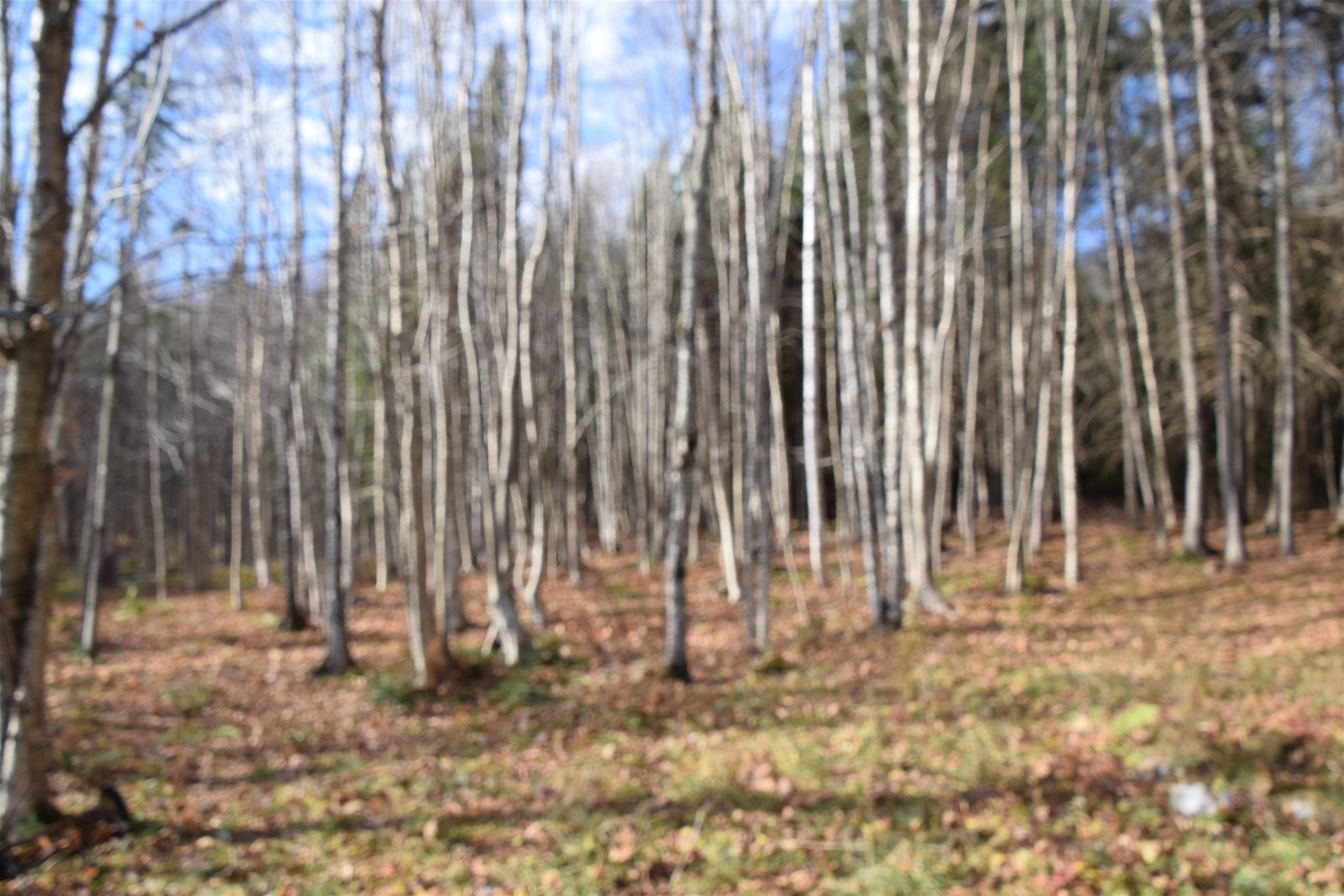 253 Brook Park Road Stewartstown, NH 03576 - Photo 4 of 17