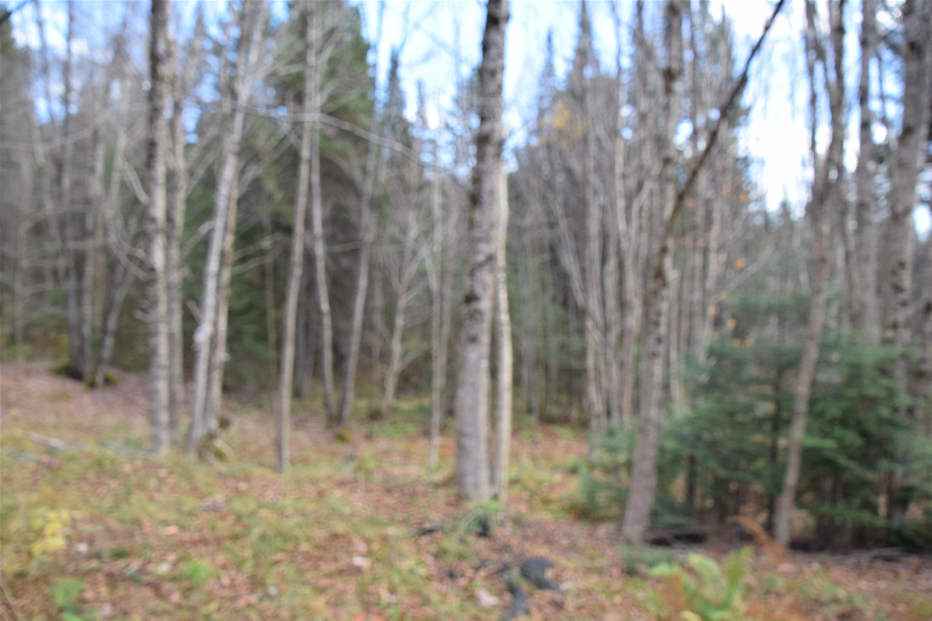 253 Brook Park Road Stewartstown, NH 03576 - Photo 6 of 17