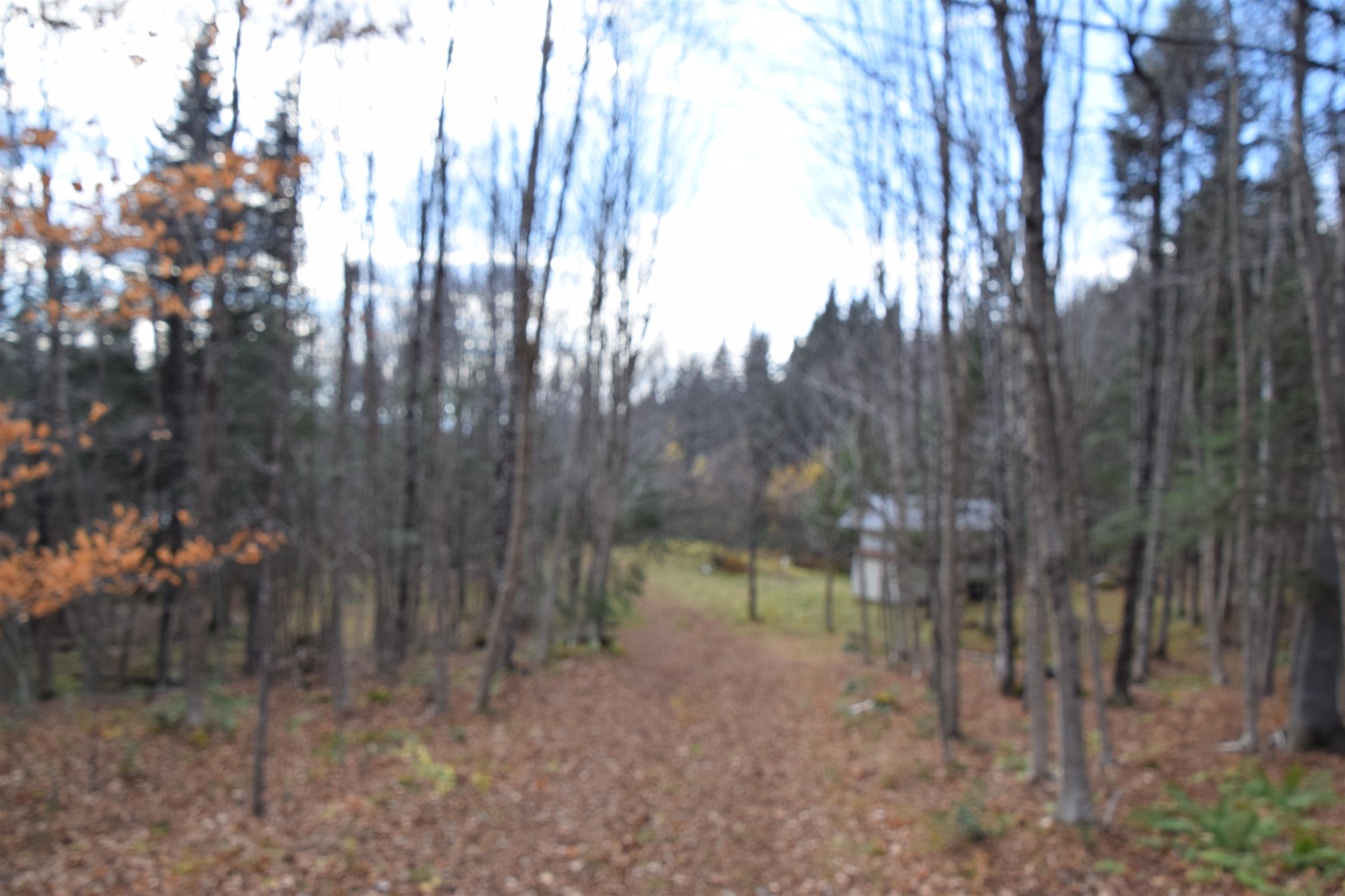 253 Brook Park Road Stewartstown, NH 03576 - Photo 7 of 17