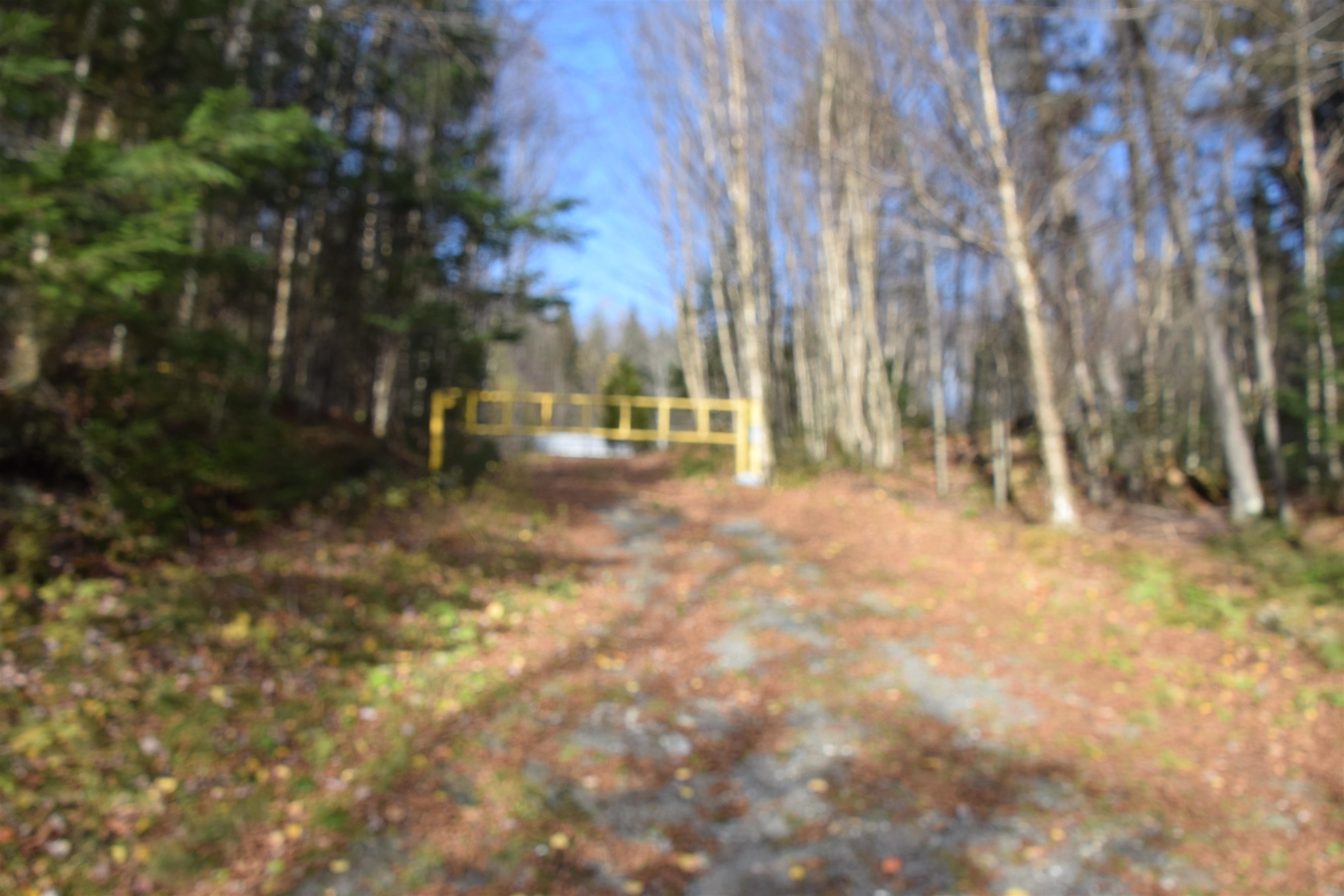 253 Brook Park Road Stewartstown, NH 03576 - Photo 8 of 17