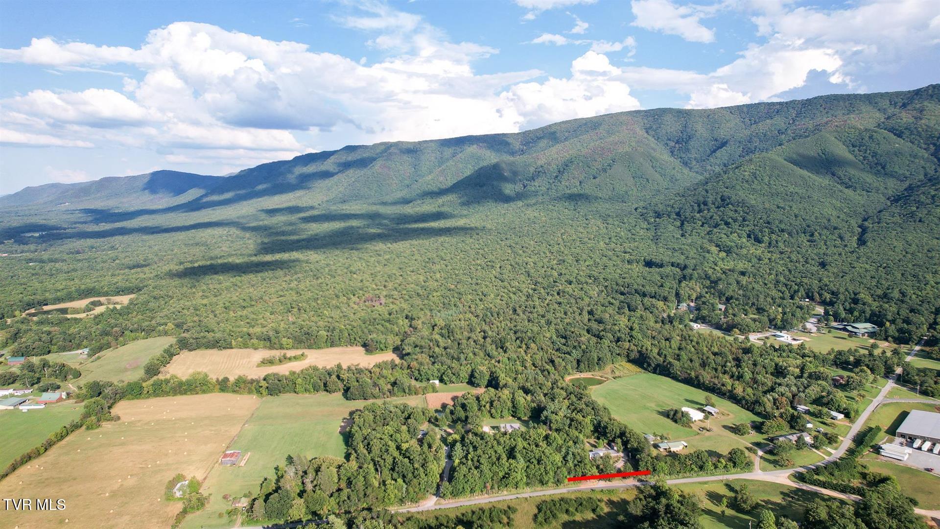 565 Greene Mountain Road Greeneville, TN 37743 - Photo 43 of 50 42