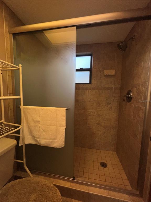 5912 Bailey Road Plant City, FL 33565 - Photo 13 of 30 a bathroom with a shower