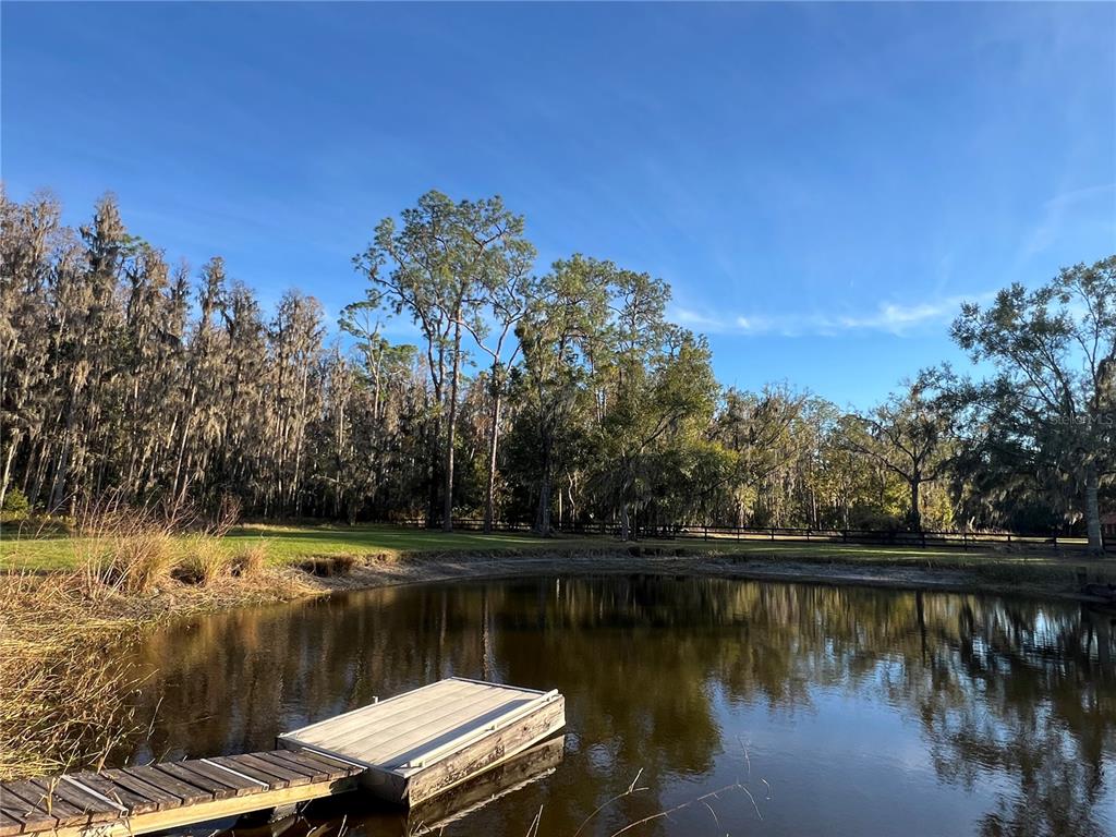 5912 Bailey Road Plant City, FL 33565 - Photo 22 of 30 a view of river covered by trees and buildings