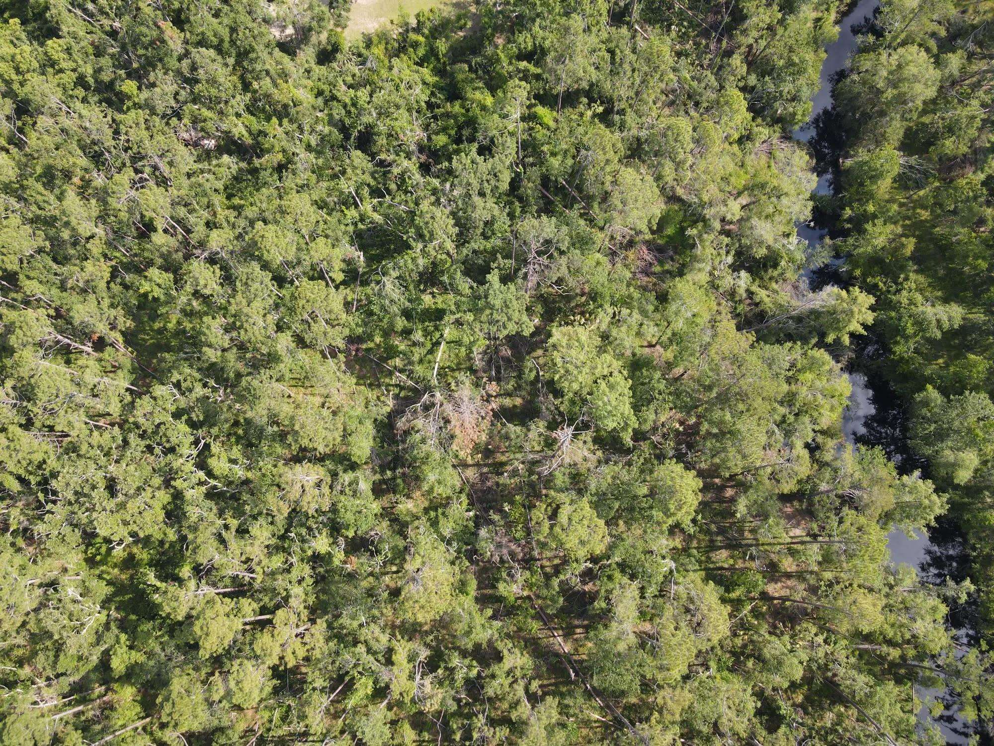 0 East Veterans Drive Perry, FL 32347 - Photo 4 of 13