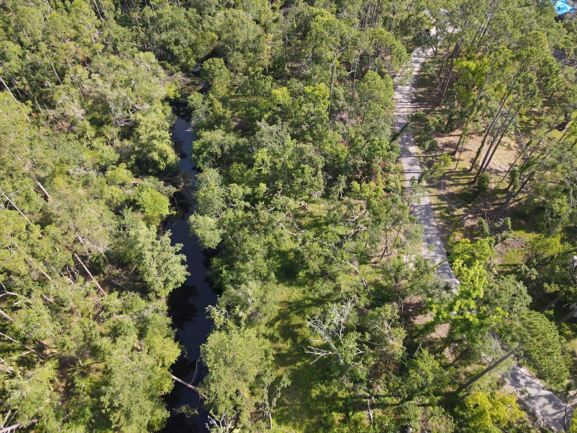 0 East Veterans Drive Perry, FL 32347 - Photo 7 of 13