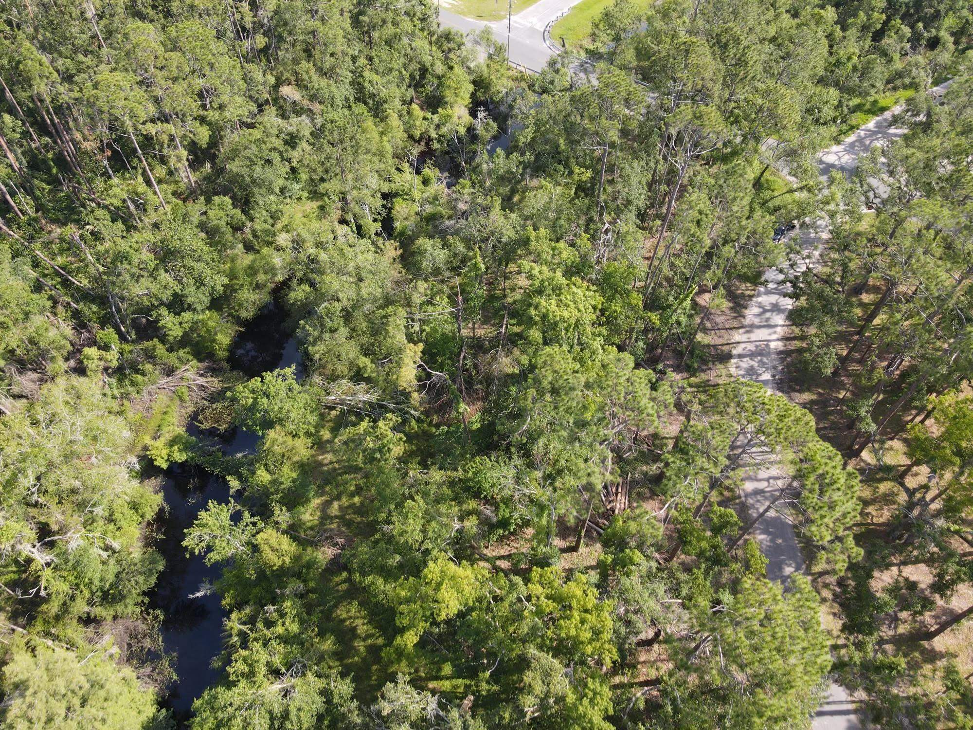 0 East Veterans Drive Perry, FL 32347 - Photo 8 of 13
