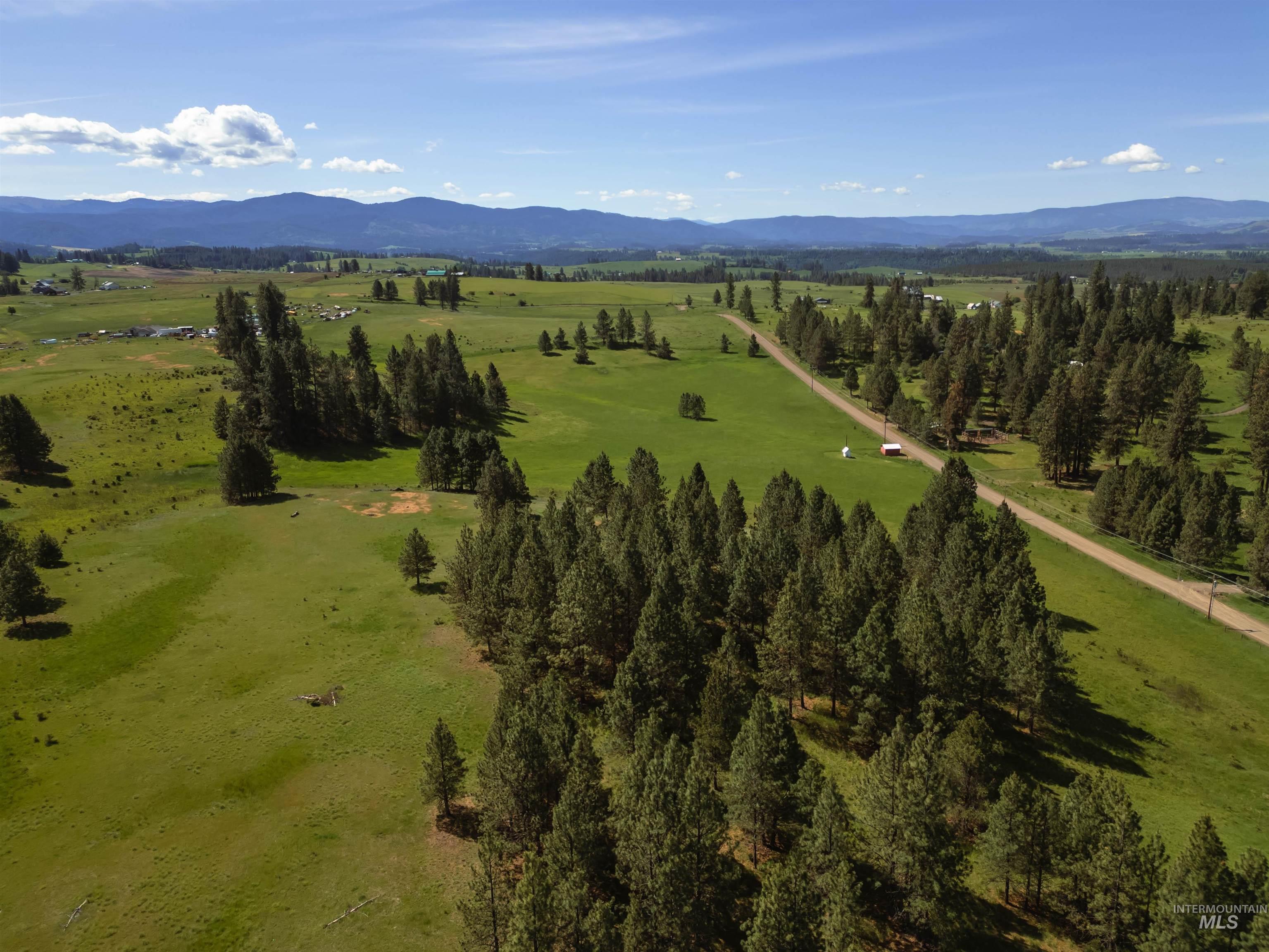 216 Ulmer Road Kooskia, ID 83539 - Photo 4 of 47