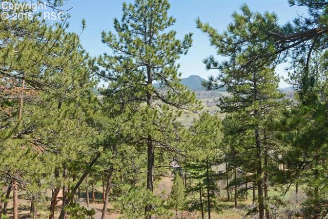 8204 Inca Road Larkspur, CO 80118 - Photo 35 of 36 Gallery Image 35