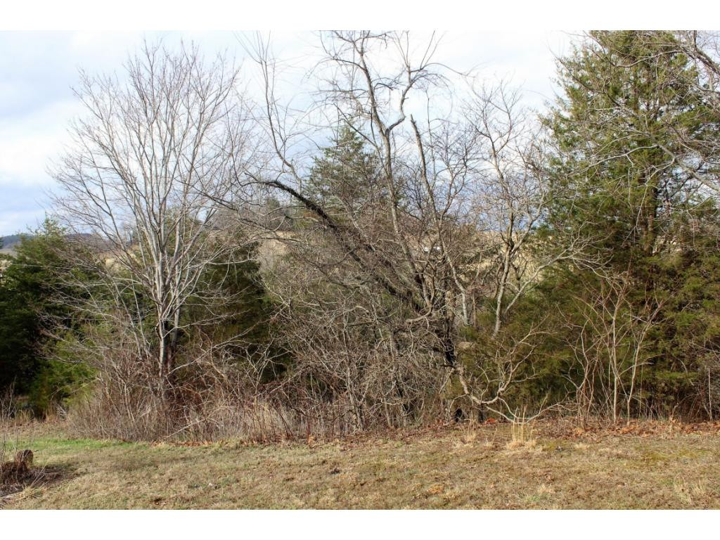 21228 McCann Road Damascus, VA 24236 - Photo 19 of 31 Photo 19