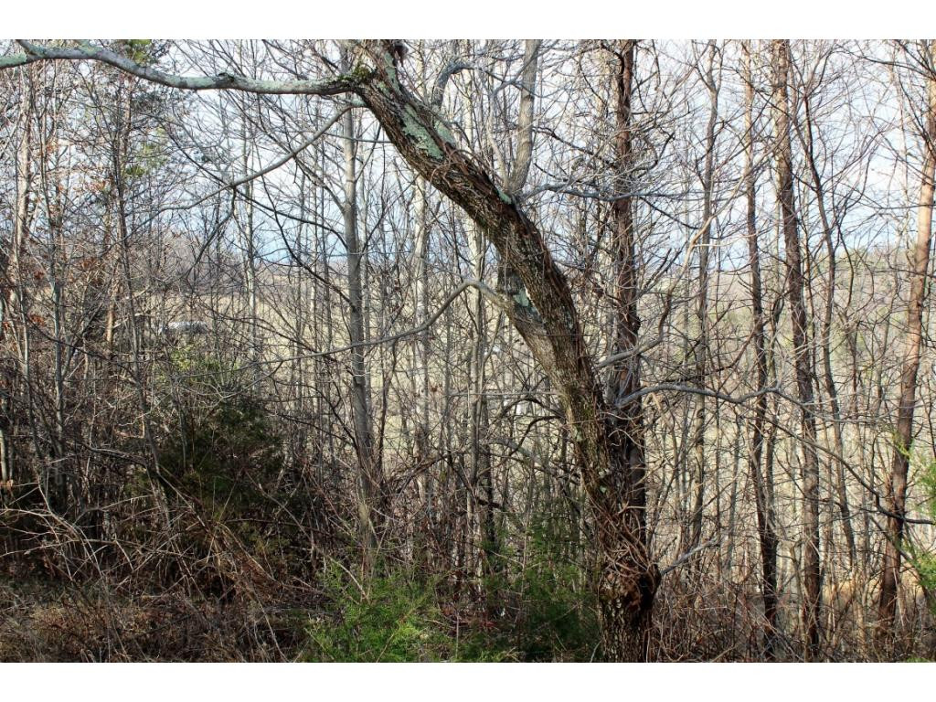 21228 McCann Road Damascus, VA 24236 - Photo 25 of 31 Photo 25