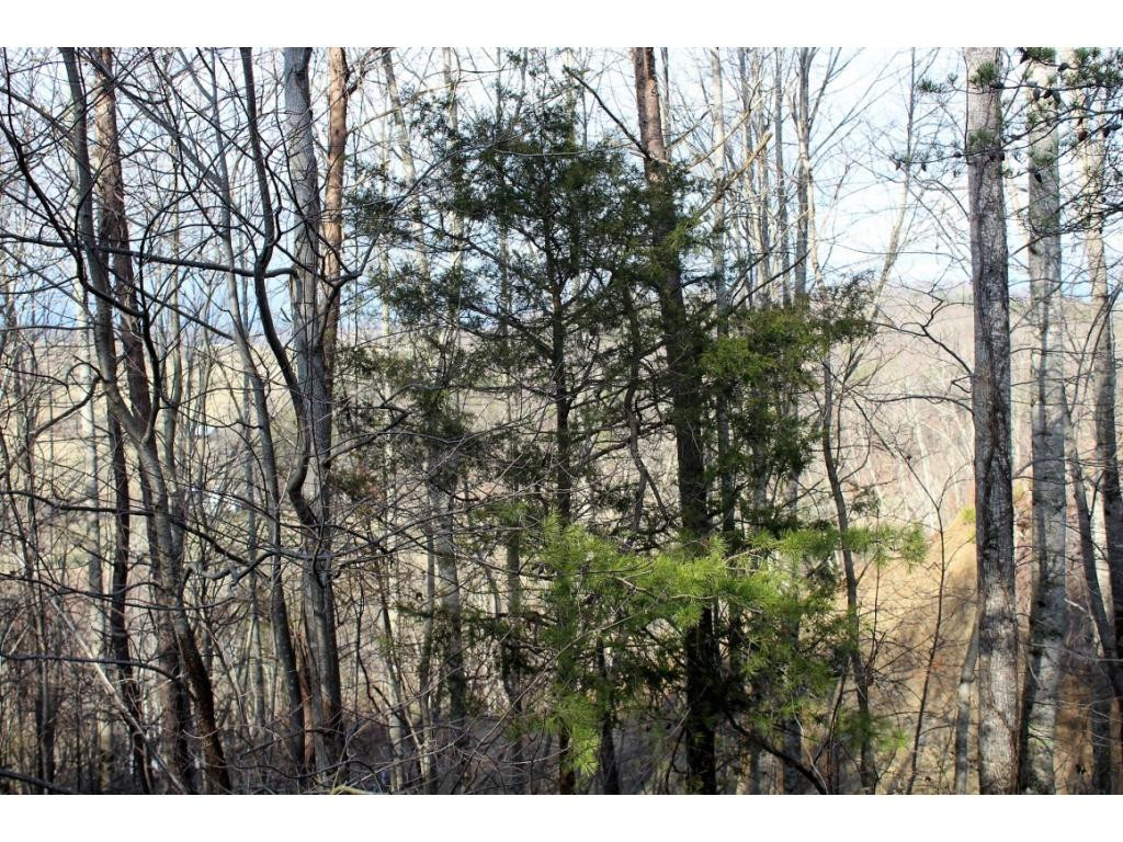 21228 McCann Road Damascus, VA 24236 - Photo 26 of 31 Photo 26