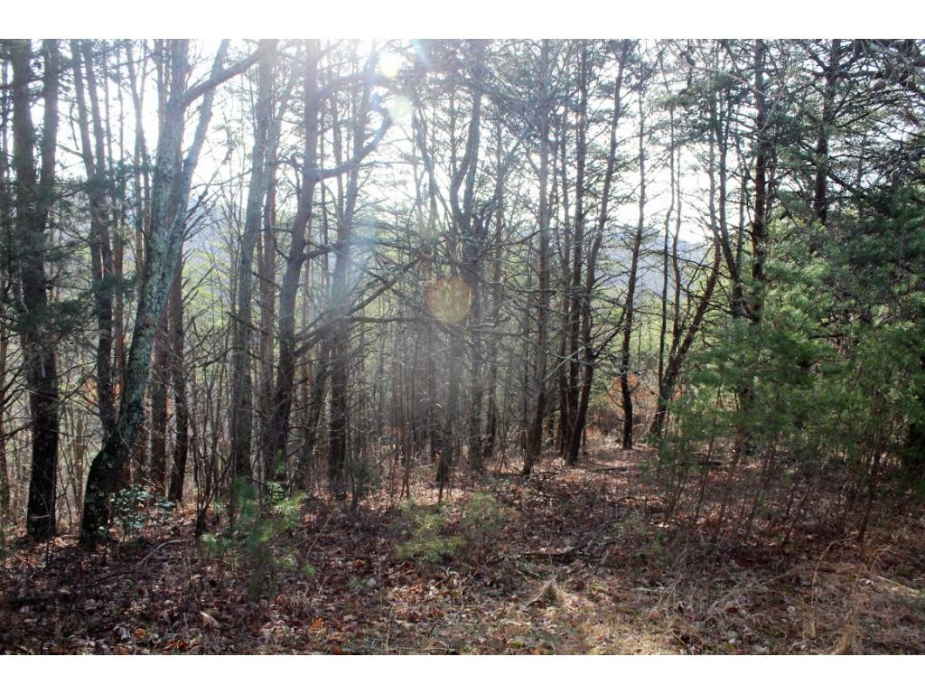 21228 McCann Road Damascus, VA 24236 - Photo 28 of 31 Photo 28