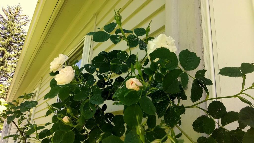 11 Old County Road Waldoboro, ME 04572 - Photo 17 of 20 Photo