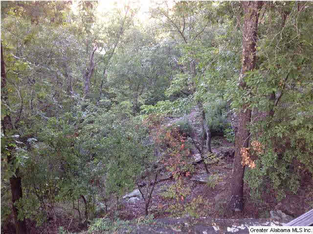 298 Shades Crest Road Birmingham, AL 35226 - Photo 26 of 29