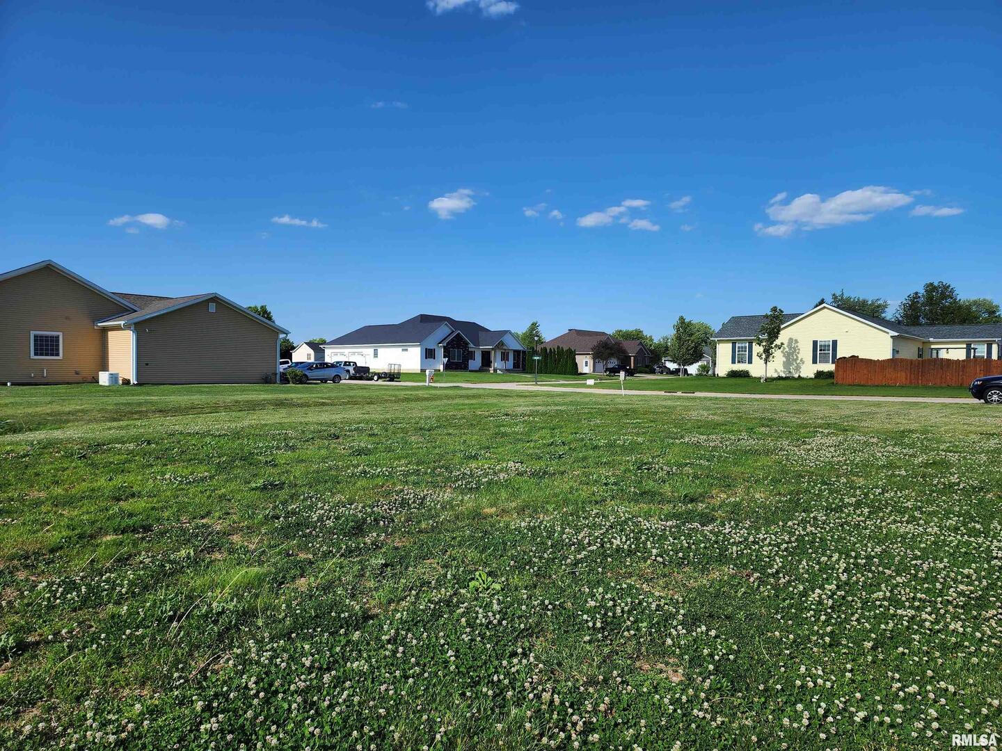 203 Hamilton Street Atkinson, IL 61235 - Photo 4 of 4