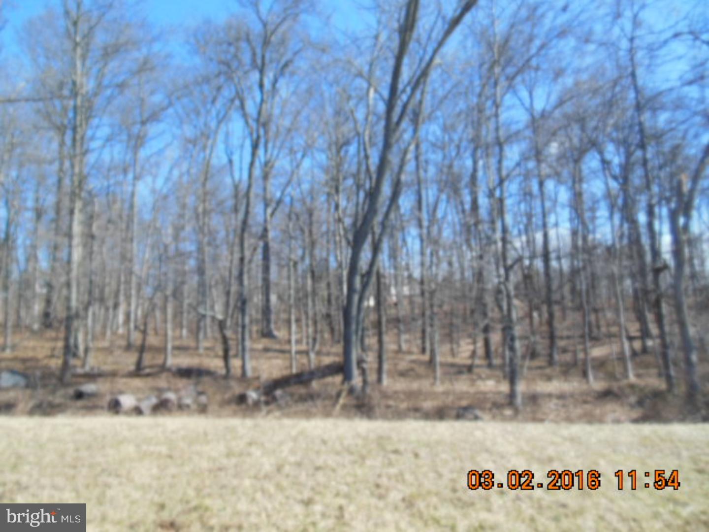 235 Stauffer Road Pottstown, PA 19465 - Photo 18 of 20 View in Back