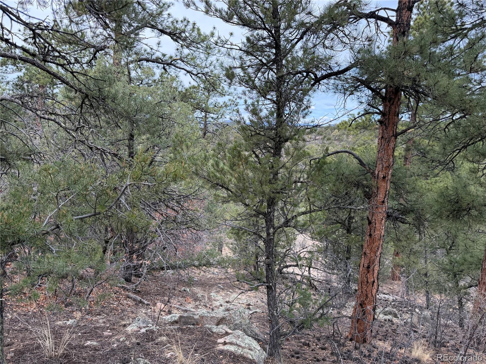 672 Coyote Run Road Cotopaxi, CO 81223 - Photo 11 of 26