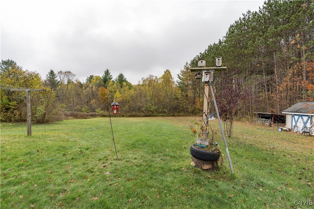 13561 French Settlement Road Diana, NY 13648 - Photo 44 of 45