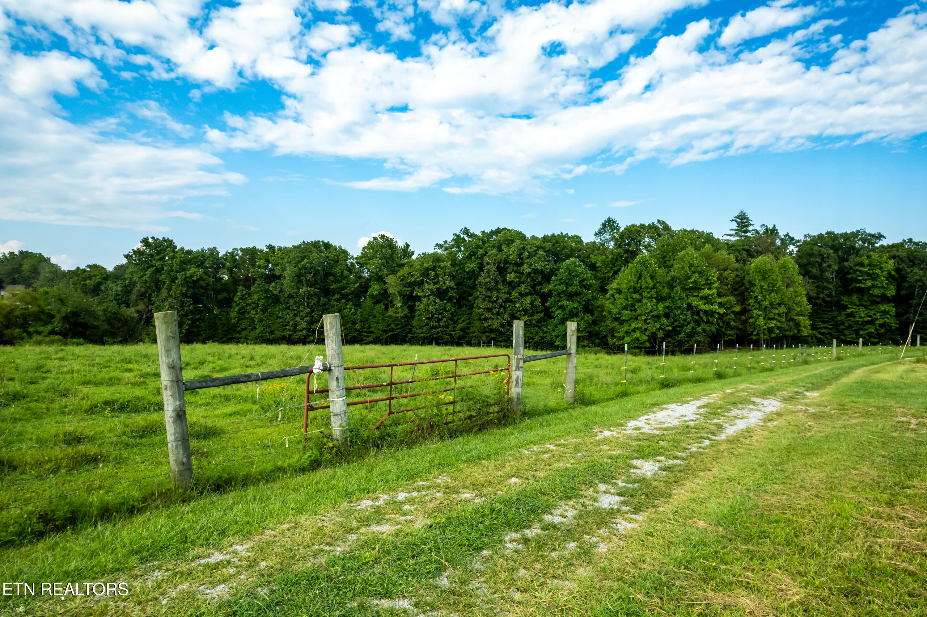 346 Christenson Road Deer Lodge, TN 37726 - Photo 27 of 49 346ChristensonRd-24