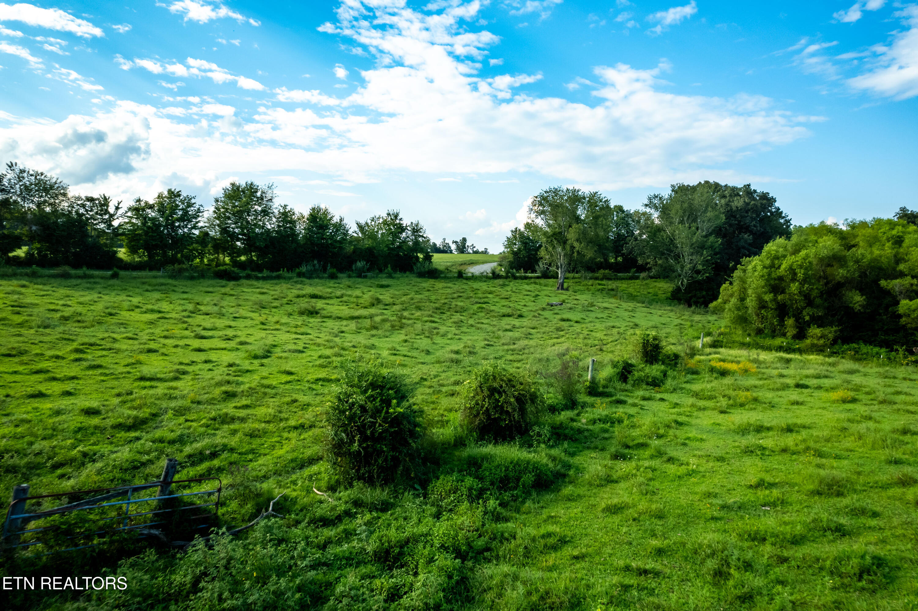 346 Christenson Road Deer Lodge, TN 37726 - Photo 46 of 49 346ChristensonRd-56