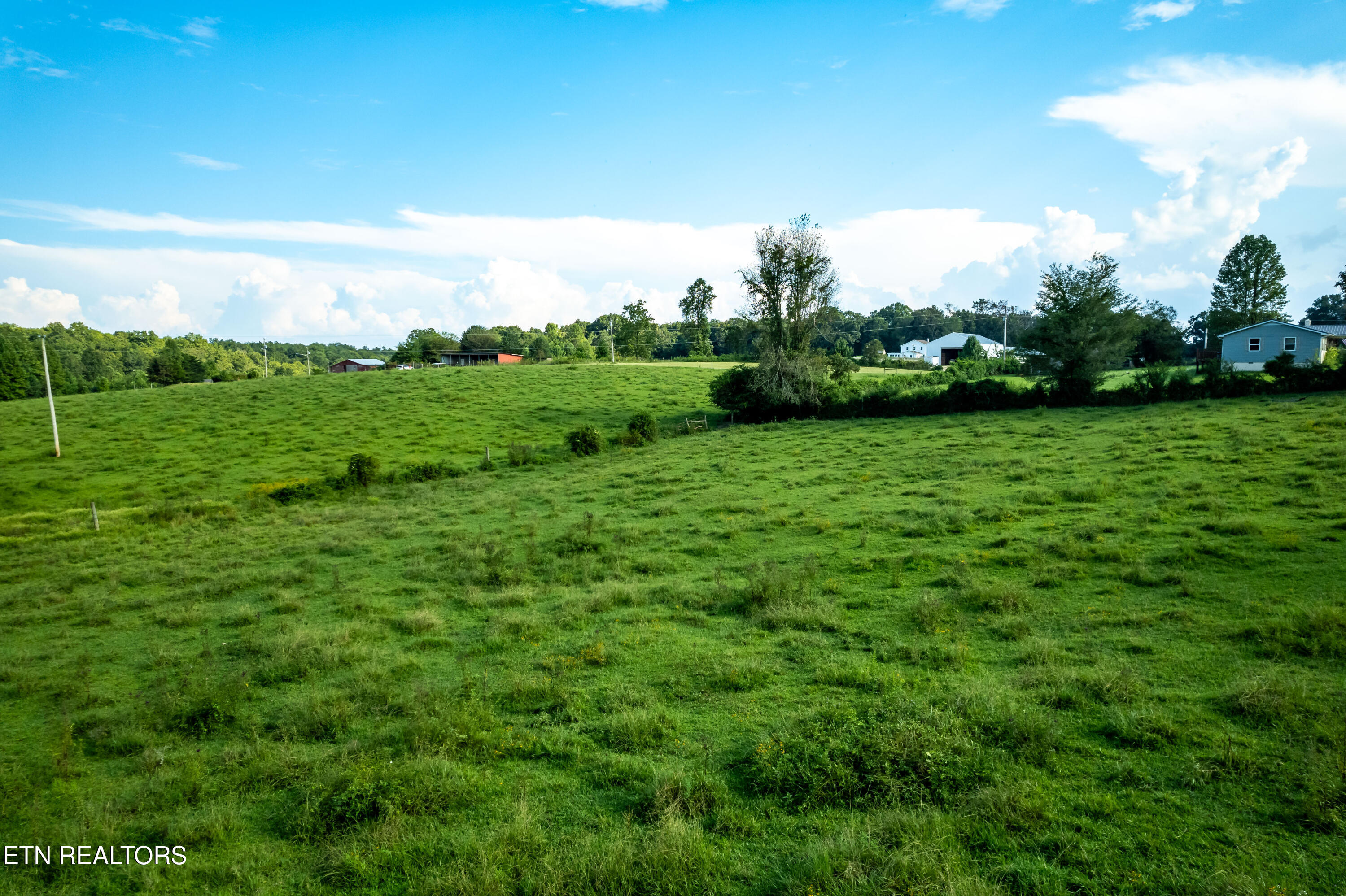 346 Christenson Road Deer Lodge, TN 37726 - Photo 48 of 49 346ChristensonRd-58