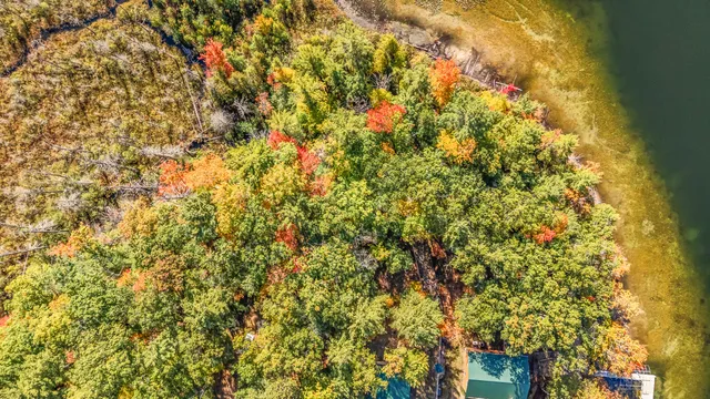 $30,000 | 26 & 27 Irving Avenue, Bitely, MI 49309