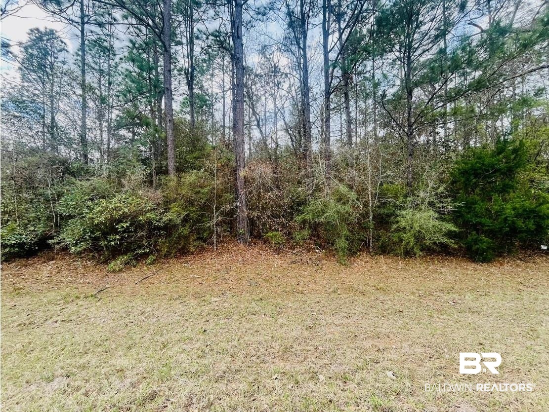 2 Phillipsville Road Bay Minette, AL 36507 - Photo 4 of 4 ROAD VIEW