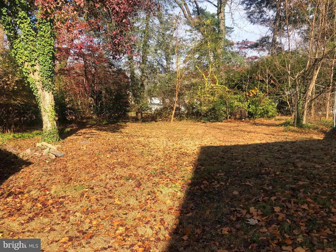 10 Green Ridge Road Yardley, PA 19067 - Photo 12 of 18 back yard